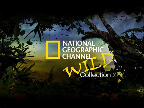 national geographic channel videos|national geographic videos for adults.